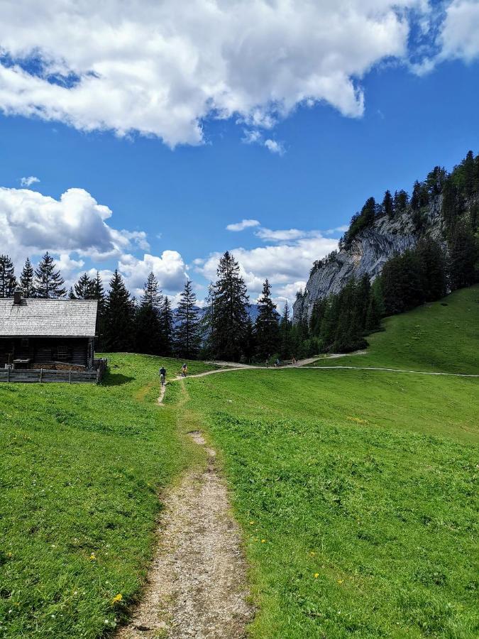 Jonas Deluxe Panoramablick Appartamento Bad Goisern